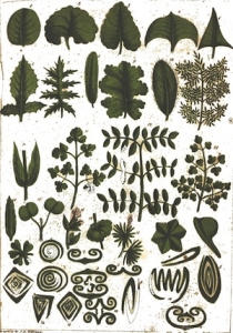 botanical leaves