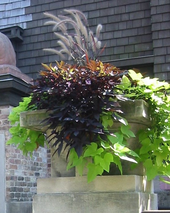 container urn
