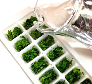 herbs in ice cube trays