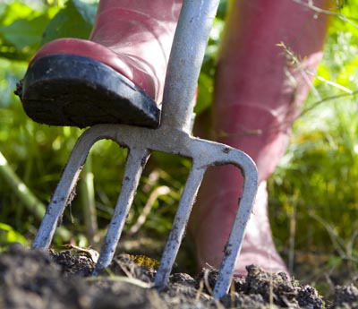 Forking the soil