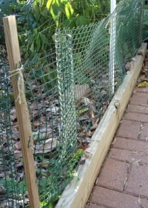 rabbit fence