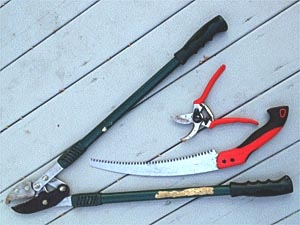 pruning tools