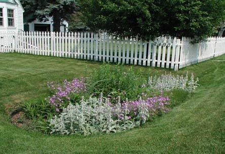 rain garden