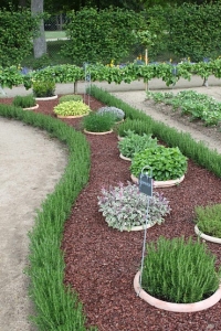 herb garden