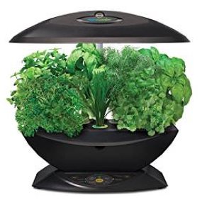 aerogarden