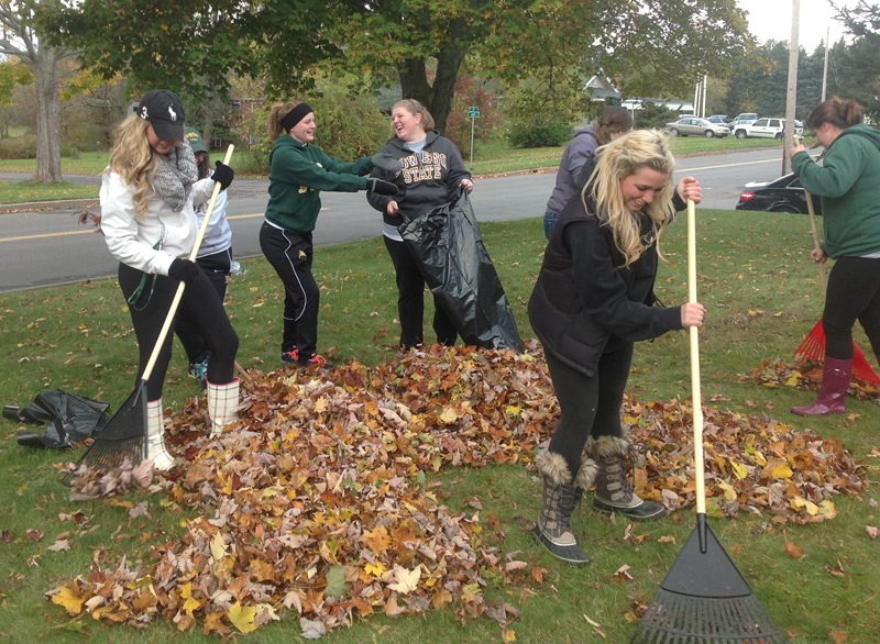 leafraking