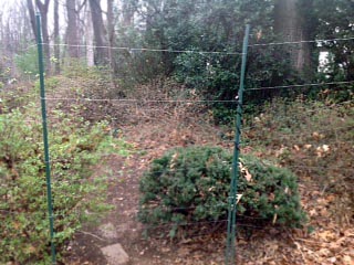 Deer Fence – Fairfax Gardening