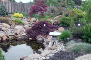 rock garden