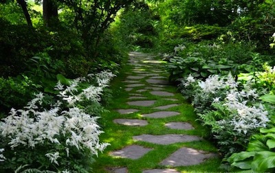 garden path