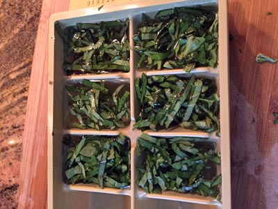 ice cube trays of herbs
