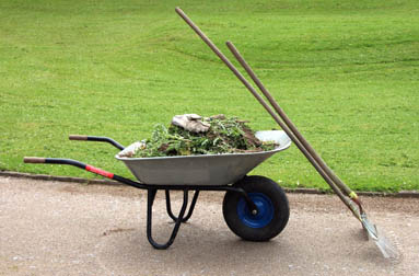 wheelbarrow