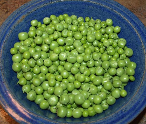 bowl peas
