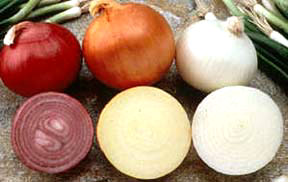 red, yellow, white onions