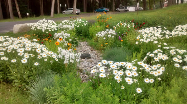 Rain Garden - Virginia Association of Soil and Water Conservation Districts