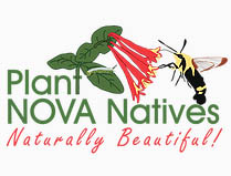 Plant Nova Natives