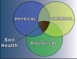 soil properties