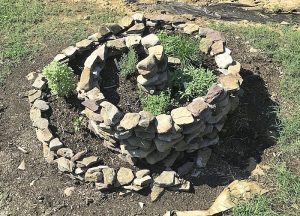 herb spiral