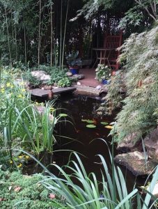 backyard pond