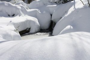 winter pond