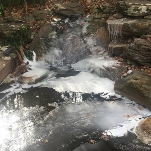 winter pond with ice