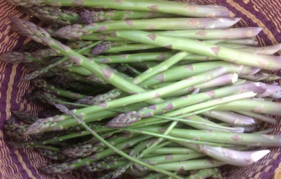 harvested asparagus