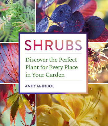 Shrubs book cover