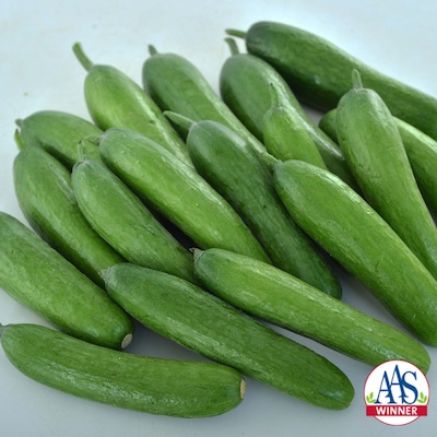 Green Light Cucumber