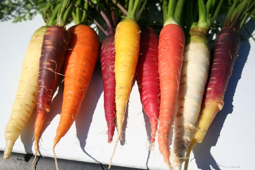 carrot colors