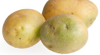 green solanine potatoes