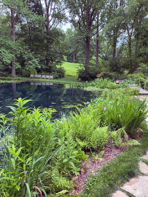 photo: Carol Ivory, Loudoun County Master Gardeners Lower pond and trail