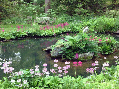 photo: Mt. Cuba Center pond garden