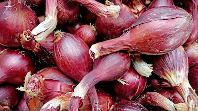 red shallots