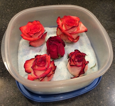 roses in silica gel