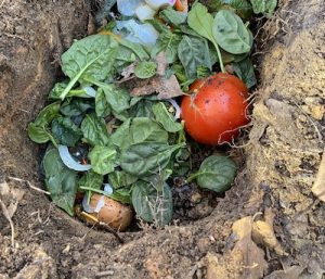 compost pit