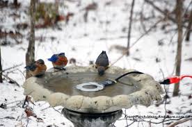 Winter birdbath