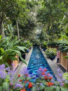 Garden Court - U.S. Botanic Garden 