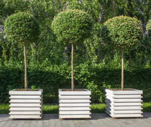Tree standards in planters