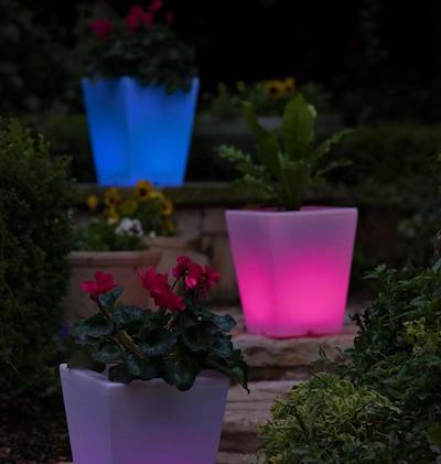 illuminated containers