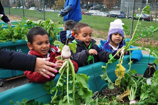 Children harvesting with USDA