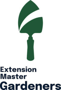 extension-logo