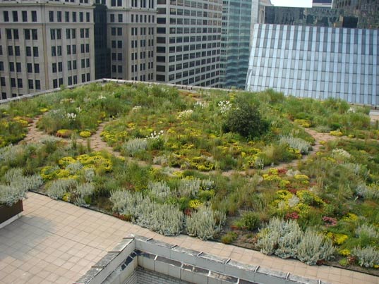 Chicago green roof