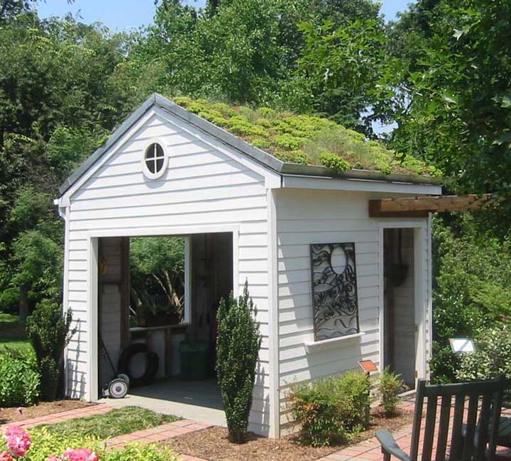 Shed green roof