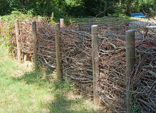 dead hedge