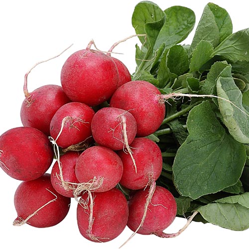 radishes