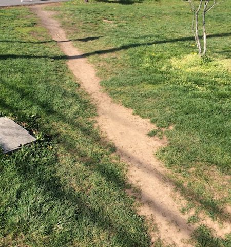 photo: Rutgers, The State University of New Jersey compacted footpath