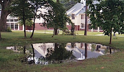 photo: Rutgers, The State University of New Jersey ponding water