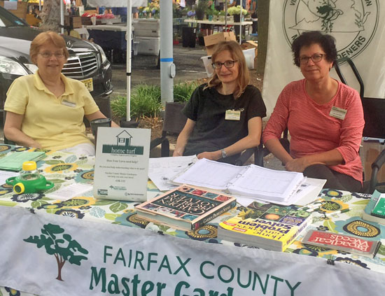 plant clinic table