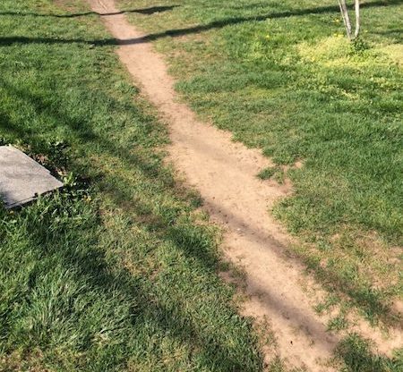 compacted path