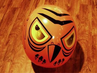 Scare eye bird deterrent