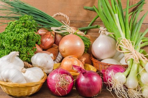 root crops